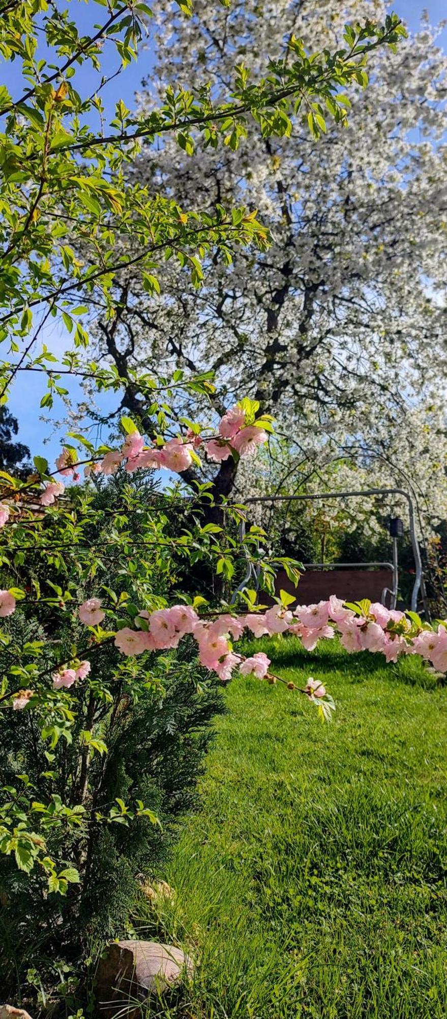 Ubytovani Sarka Čistá Bagian luar foto